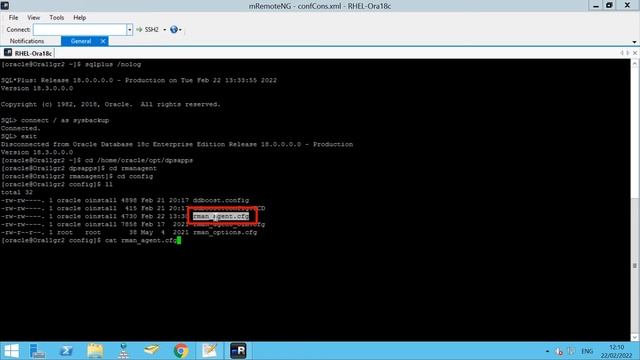How to do Oracle backup using Operating system authentication in PowerProtect Data Manager 19.X смотреть онлайн