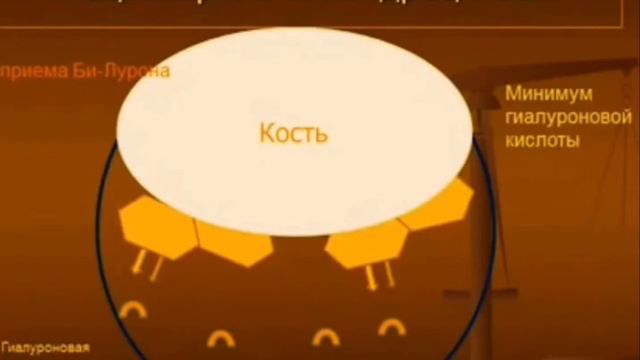 БИ-ЛУРОН Корал клаб смотреть онлайн