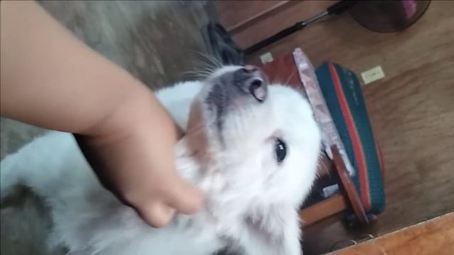 My forever Baby Orbit since 2012 🌹🥰 смотреть онлайн