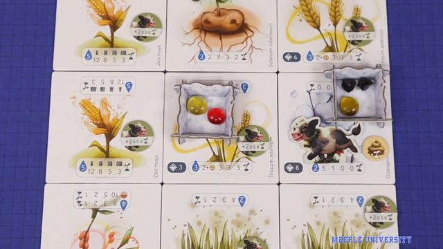 Petrichor Cows Expansion Board Game - Quick How to Play. A Kickstarter Preview смотреть онлайн