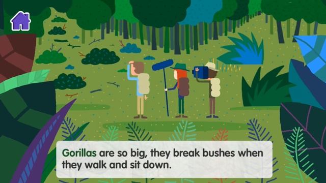 CBeebies Storytime | David Attenborough's Adventures - 7 Minute Story смотреть онлайн