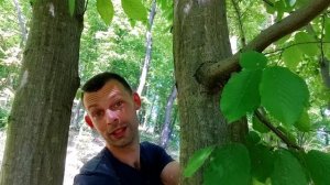 Что дешевле, быстрее и лучше: штукатурка или гипсокартон?