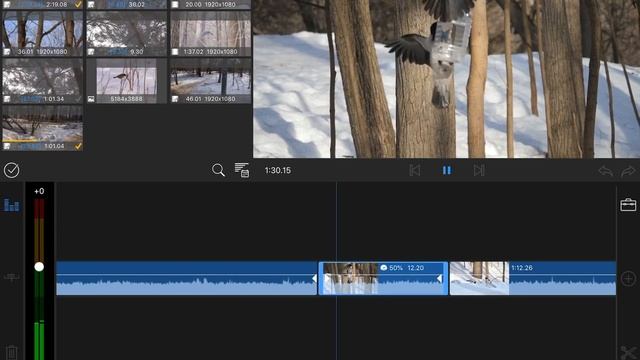 LumaFusion - лучший видеоредактор под iOS смотреть онлайн