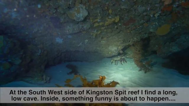 191116 Caverns and Wobbies Steves spot and kingston смотреть онлайн