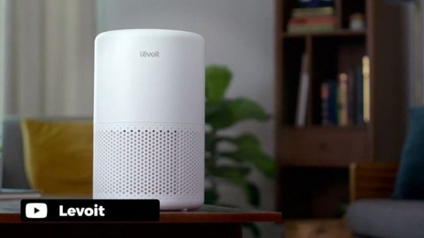 5 Best Plug in Air Fresheners for Home [Review in 2023]