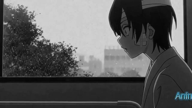 Шарлотта | Charlotte