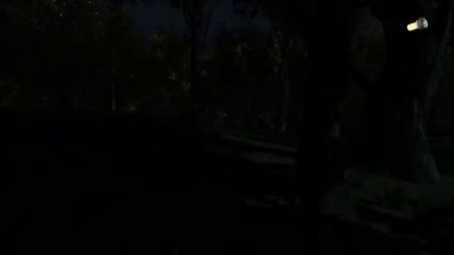 The Secret of Pineview Forest: Ep 1: Lone House смотреть онлайн