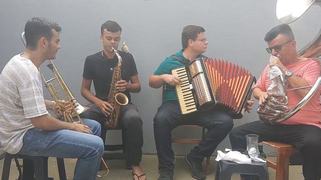 Tocata CCB Américo Brasiliense смотреть онлайн