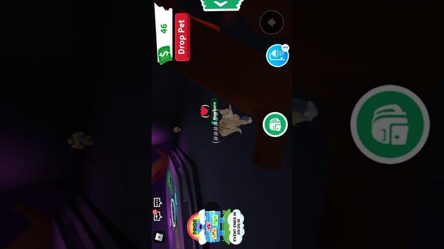 Где  и как получить цыплёнок миньон ???🤔