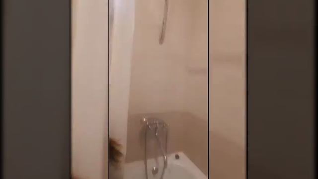 снять евродвушку 46м2 в центре Ростова, ЖК Центральный , 2 этаж. смотреть онлайн