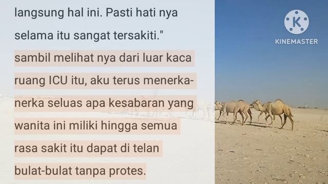 ISTRI ATAU BABU || BAB 20 || NOVEL ROMANTIS || CEO @gokilmantul смотреть онлайн