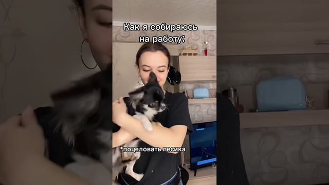 У кого есть домашние животные поймут😄 смотреть онлайн