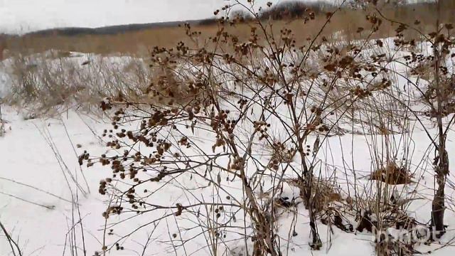 ОТЛИЧНЫЙ КОП, ВЫБИТАЯ ФЕРМА КОНКУРЕНТАМИ ОПРАВДАЛА ОЖИДАНИЯ смотреть онлайн