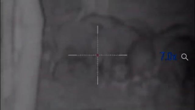 Pulsar Digisight Utra N355 на гладком стволе. Первая добыча.