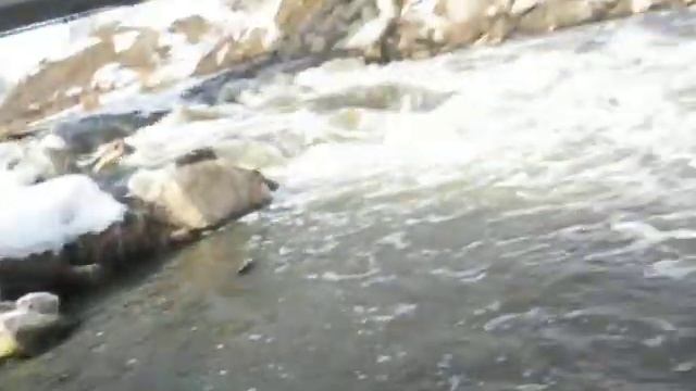 MVI 7324 Сплав по реке Миасс .Весна 2021(Челябинск) смотреть онлайн