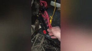 нива шевроле не горит ЧЕК и не заводится.