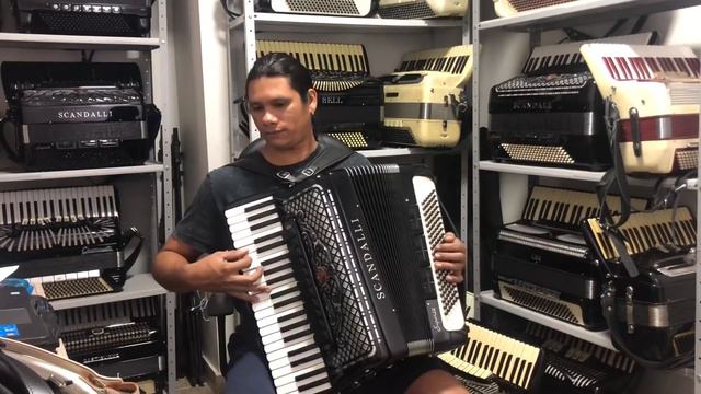 Acordeon Scandalli Super IV смотреть онлайн