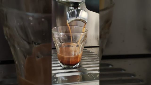 rancilio silvia v6 смотреть онлайн