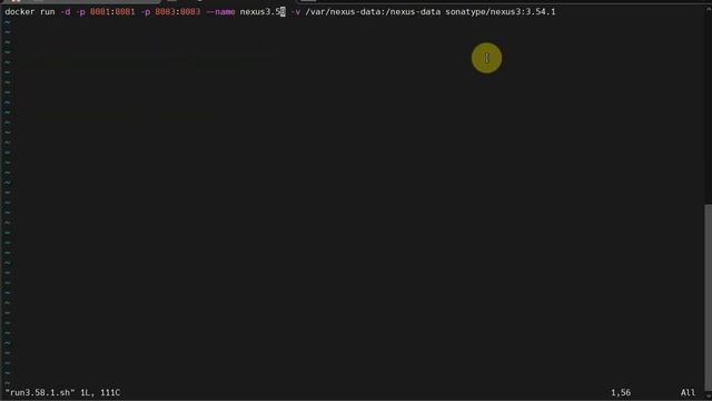 Nexus repository manager docker upgrade смотреть онлайн