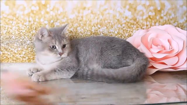 Hozar ay25 смотреть онлайн