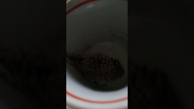 20220919 155316 ГАДАНИЕ НА КОФЕ смотреть онлайн