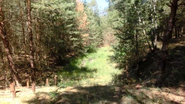 ГСВГ,Altes Lager,в/ч02856,01010,магазин 29.06.2019 смотреть онлайн