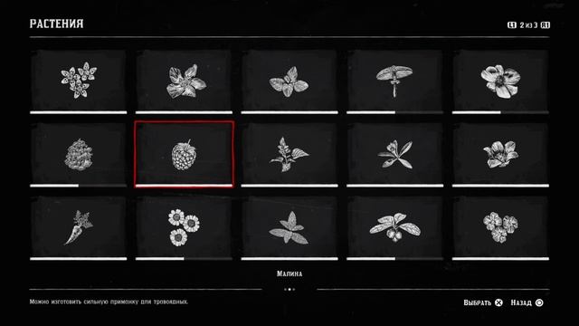 Red Dead Redemption 2 Справочник. Все растения. смотреть онлайн