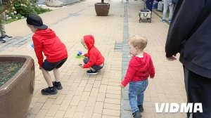 ВЛОГ : Приехали в Зеленоградск 🐱 Деткам всё понравилось 👍 18.07.24