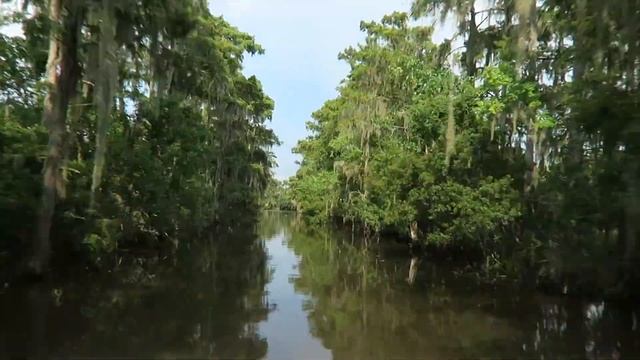 SWAMP AIRBOAT ADVENTURE TOUR | NEW ORLEANS LOUISIANA TRAVEL GUIDE ? смотреть онлайн