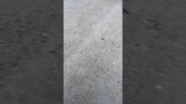 Шапкинские озера, Поселок шапкино смотреть онлайн