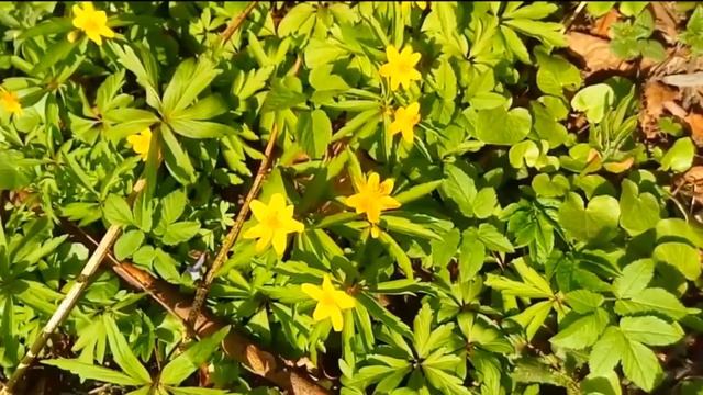 N 48. Цикл передач "Слушаем" ~ Притча ~ Представления о себе + Домашнее задание! смотреть онлайн