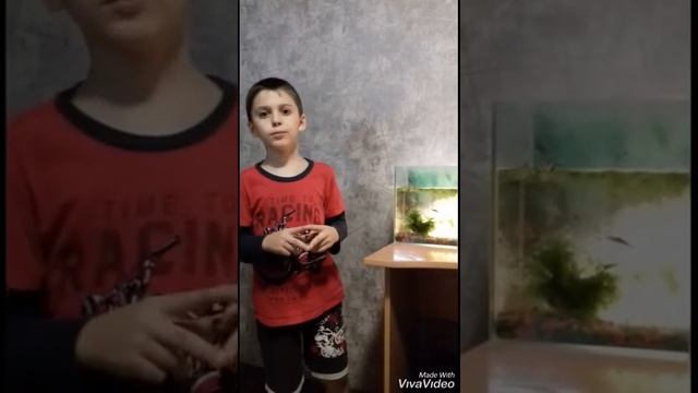 Рыбки Минор и Керри смотреть онлайн