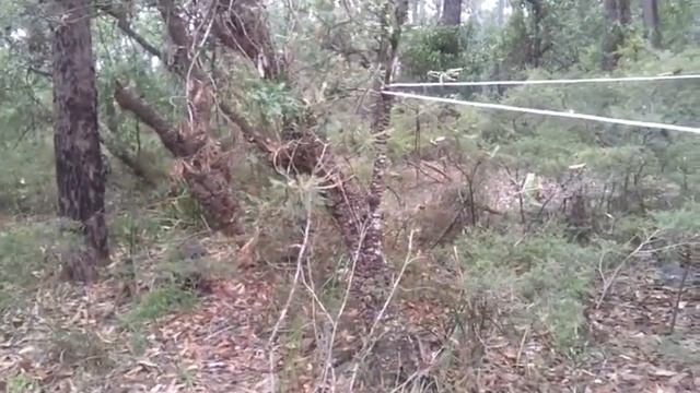 Малыш и Кенгуру Валлаби смотреть онлайн