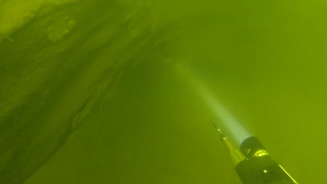 Подводная охота на Судака. Хорошая прозрачность. Плотный коряжник. смотреть онлайн