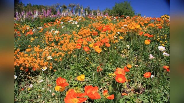 Природный ландшафт