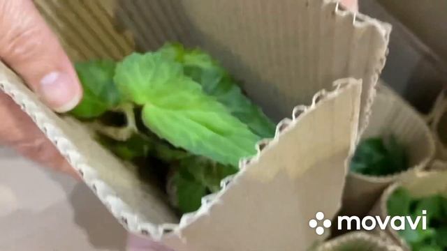 Получила свой заказ от канала «6соток на Урале» ? смотреть онлайн