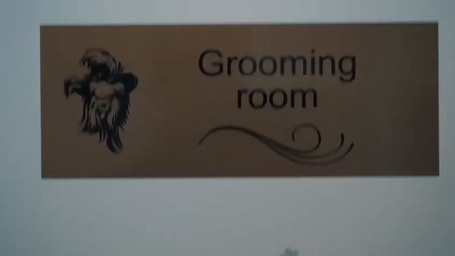 Франшиза груминг-салона Барбос смотреть онлайн