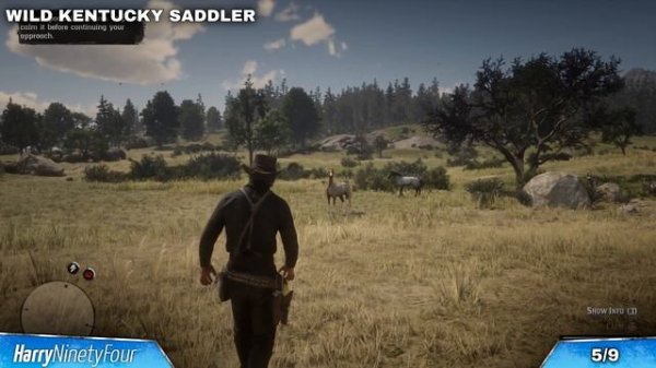 Red Dead Redemption 2 - All Wild Horse Breed Locations Guide (Horseman 10 Challenge)