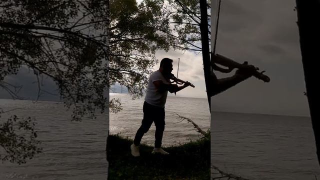 всё пройдёт - Showman Vaxo Violin скрипка