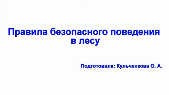 "Консультация для родителей по безопасному отдыху в период летних каникул" смотреть онлайн