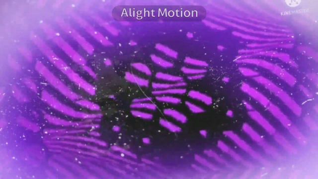 ||Я ПЛАГИАТ МЕЗУМИ ЧАН?(!!!ЧИТАЙТЕ ОПИСАНИЕ!!!)|| смотреть онлайн