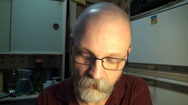 Бродский И. Роттердамский дневник. Читает н п (немой прокажённый). смотреть онлайн