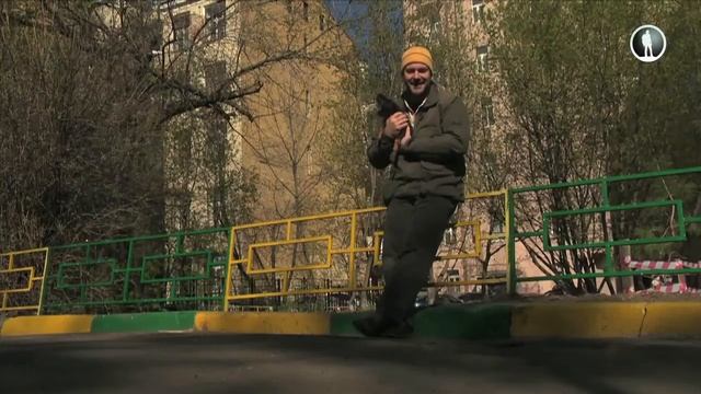 Планета собак. Русский той смотреть онлайн
