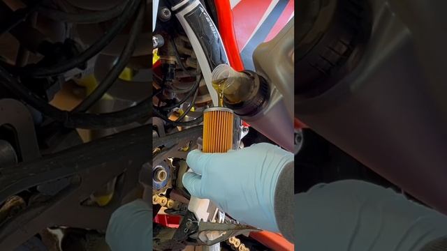 How To: KTM Oil Change #500exc #ktm #oil #maintenance #motorex смотреть онлайн