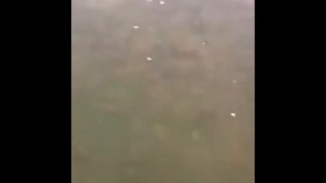 Надоело называть всё приколами, по этому это видео будет называться не так смотреть онлайн