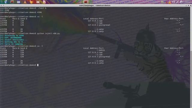 Steelcon 2014 - Process Injection with Python - x86 Injection Demo смотреть онлайн