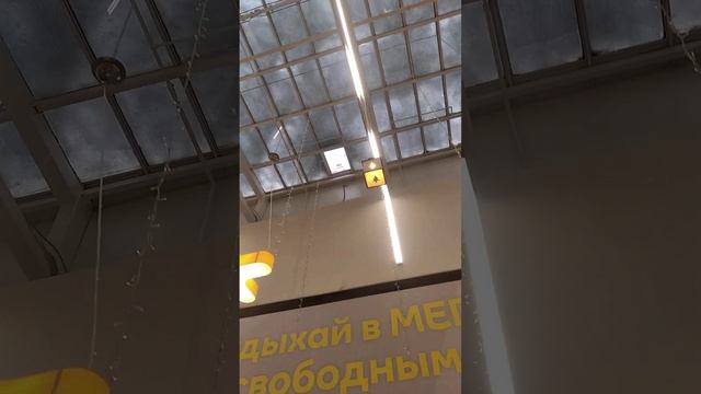 24.11.2022 Стеклянный потолок в Меге и снег смотреть онлайн