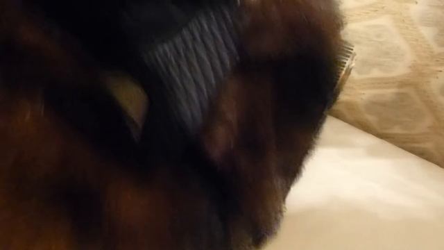 Норковая ушанка смотреть онлайн