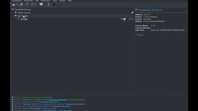 How to make your own Teamspeak server | EN | 2022 смотреть онлайн