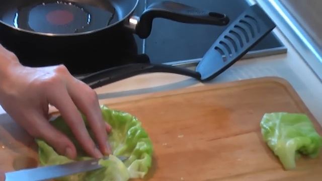 Шницель из капусты видео рецепт. Книга о вкусной и здоровой пище смотреть онлайн